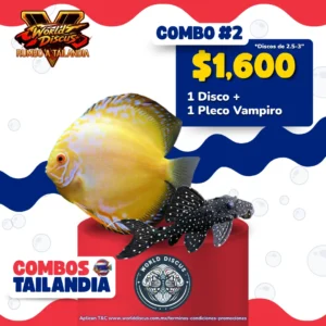 Combo Tailandia #2