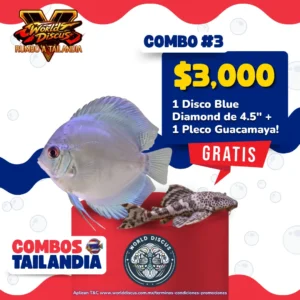 Combo Tailandia #3